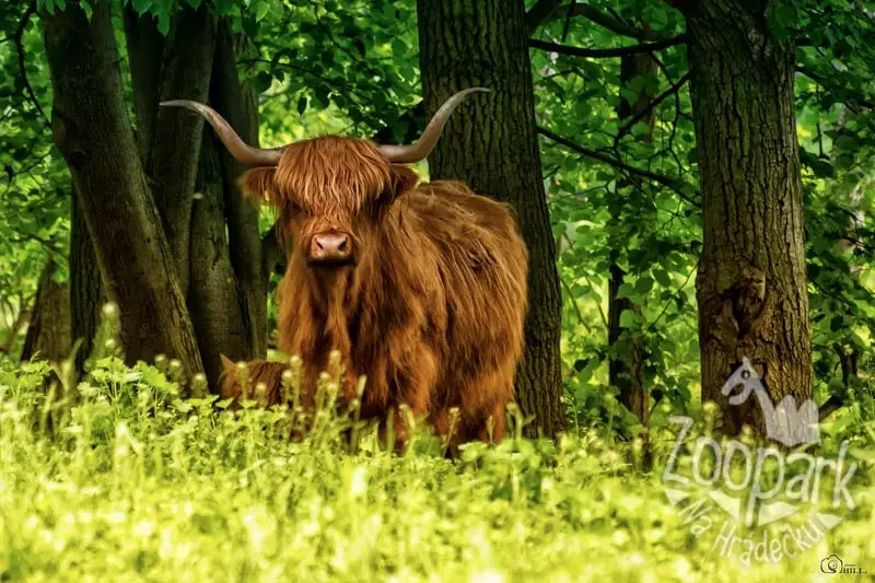 UbytováníPočátky.cz